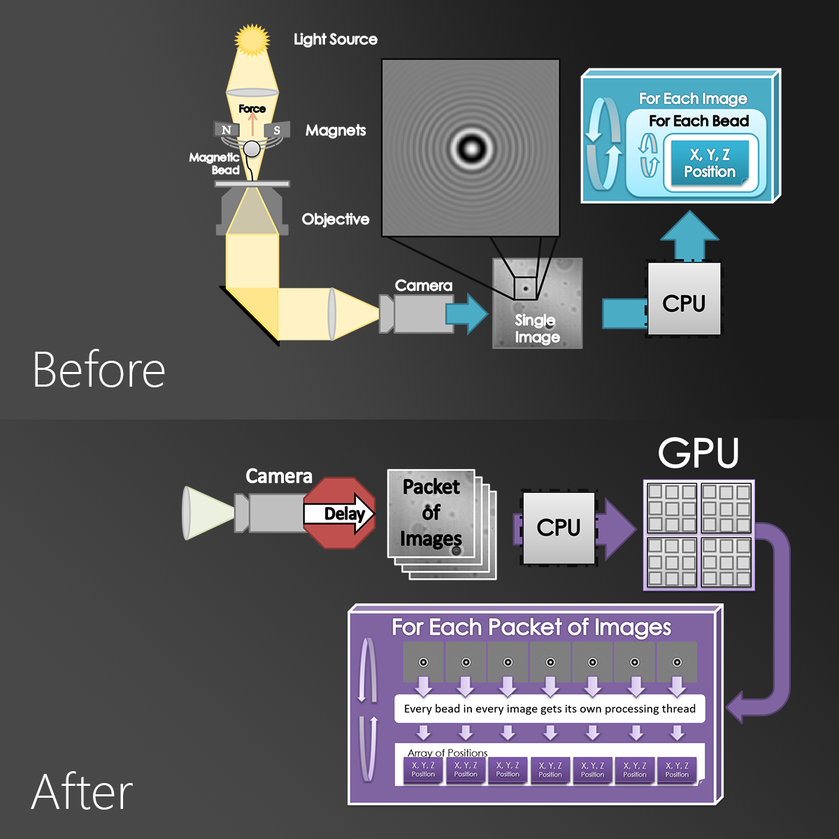 GPU-Accelerated-Magnetic-Tweezer-Tracking-CUDA
